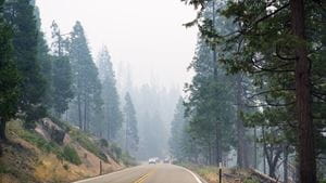 A highway through a forest wreathed in smoke from a wildfire