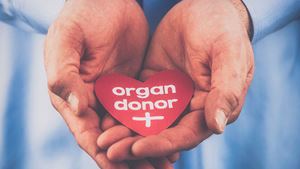 Two cupped hands holding a red paper heart with organ donor written on it