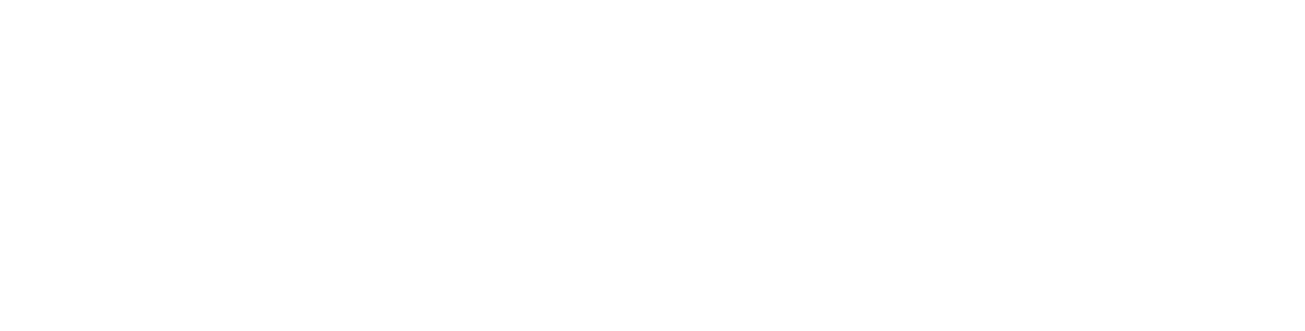 Rochester Regional Health Logo White